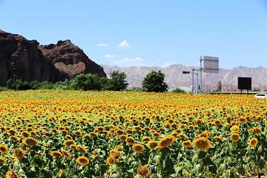 《原神》3.8版本「清夏！乐园？大秘境！」将于7月5日上线